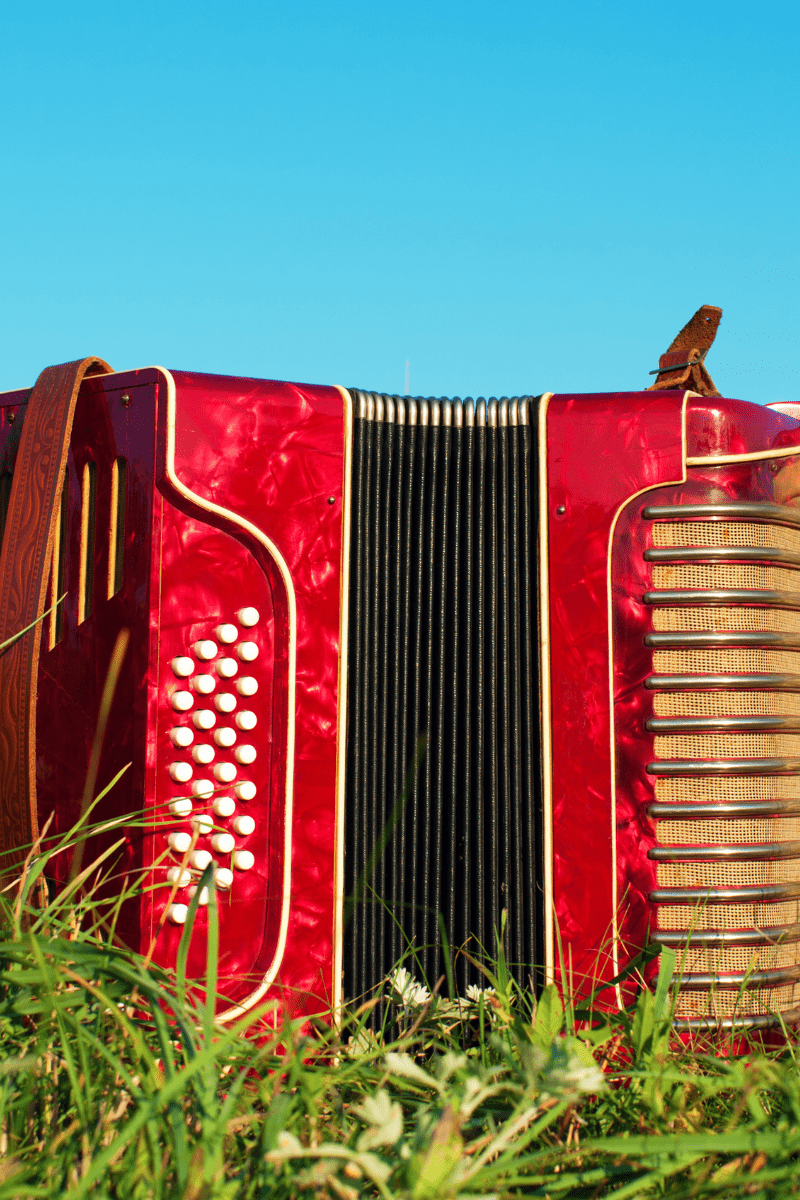 vignette accordéon